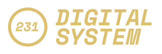 231digitalsystem.com